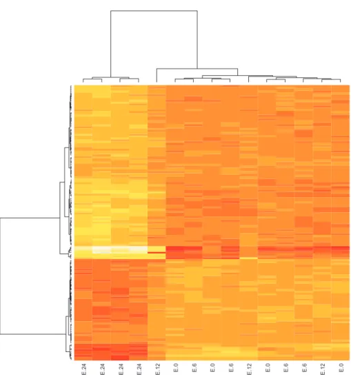 Figure 1. Heatmap showing hierarchical clustering of 147 diﬀerentially expressed genes (horizontally) and microarrays (vertically) corresponding to timepoints 0 (n = 4), 6 (n = 4), 12 (n = 3), and 24 (n = 4) h relative to E