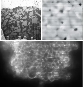 Fig. 1. Stripes for various imaging modalities. Top-left: cement paste image using Ion beam nanotomography