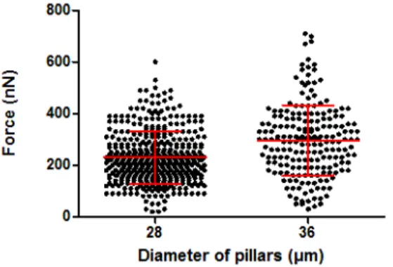 Figure  4:  A  scattered  plot  with  the  standard  deviation  of  the  forces  exerted  by  MCF7  spheroids  after  4  days of growth within the microdevices for 2 pillars diameters: 28 and 36µm