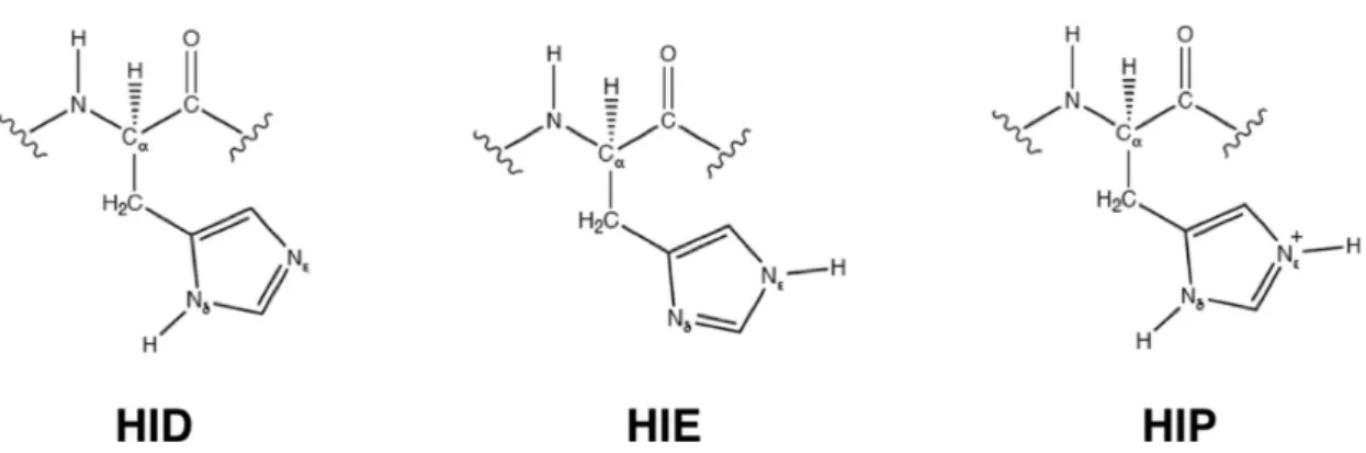 Figure 4.  Histidine in its three possible protonation states, each of them characterized by a  specific label
