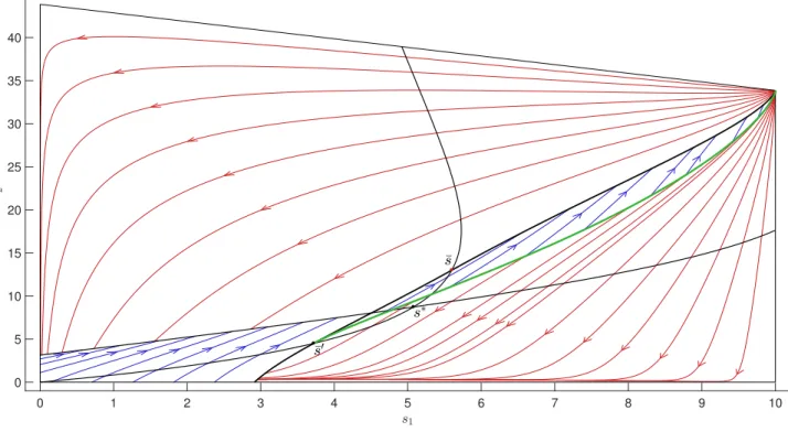 Figure 9: Optimal synthesis for the target point ¯ s = (5.52, 12). Singular locus, collinearity curve and extended target in black; cut-locus in green