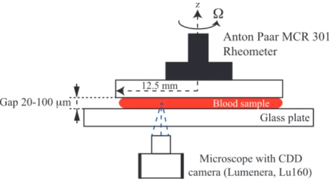 Figure 1: (Color online) Schematic illustration of the plane-plane rheometer combined with optical microscope seen on the sideway view.