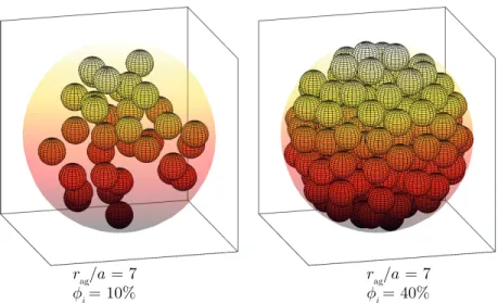 FIG. 1. (Color online) Examples of two cell aggregates of radius r ag /a = 7, on the left with a compactness of φ i = 10%, and on the right with a compactness of φ i = 40%