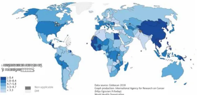 Figure  2  :  Incidence  du  cancer  du  foie  dans  le  monde  en  2018,  taux  standardisés  selon  l’âge