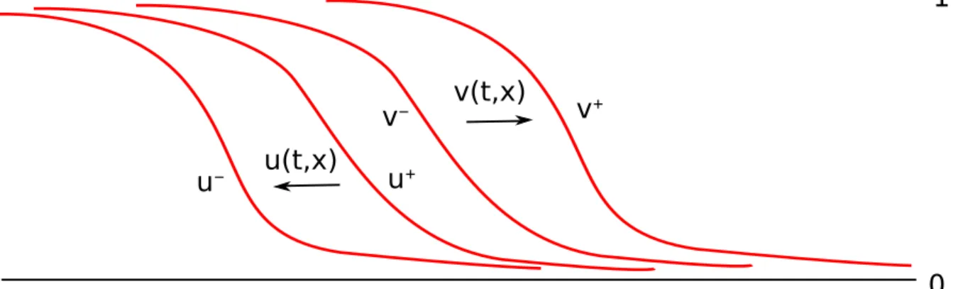 Figure 1: Stationary fronts 0 &lt; u − (x) &lt; u + (x) ≤ v − (x) &lt; v + (x) &lt; 1 and transition fronts u and v such that u − (x) &lt; u(t, x) &lt; u + (x) and v − (x) &lt; v(t, x) &lt; v + (x).