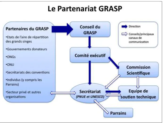 Illustration 7. Structure officielle du fonctionnement de GRASP entre 2005 et 2012  L’assemblée générale adopte également les documents-clefs qui organisent le fonctionnement  de  GRASP :  la  stratégie  mondiale  pour  la  survie  des  grands  singes  et 