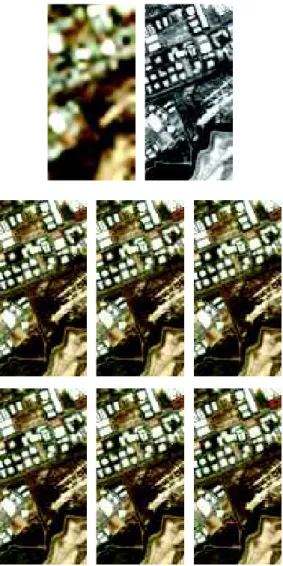 Fig. 2. True pseudo-spectral response R e (left) and its estimation (right).