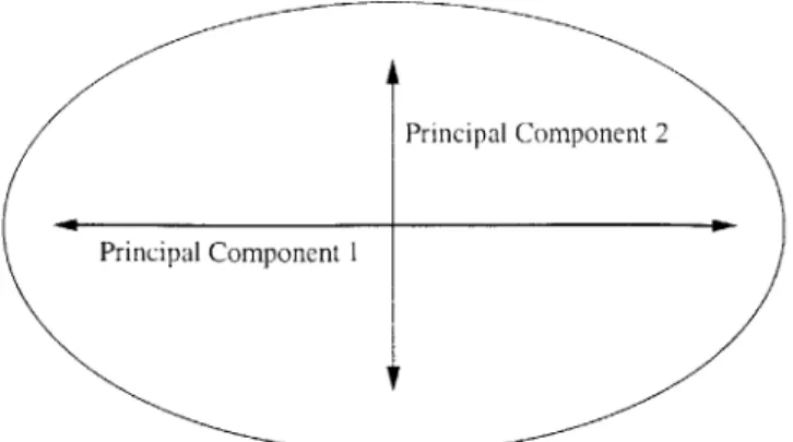 Figure  4-1.  Principal  components  of ail  ellipse  are  the  primary  and  secondary  axis