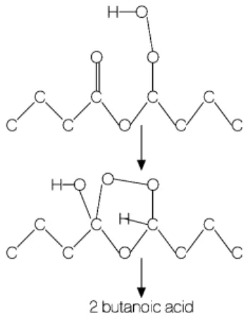 Figure 3. Formation of butanoic acid through the decomposition di-n-butyl ether γ-ketohydroperoxide, according  to the so-called Korcek mechanism