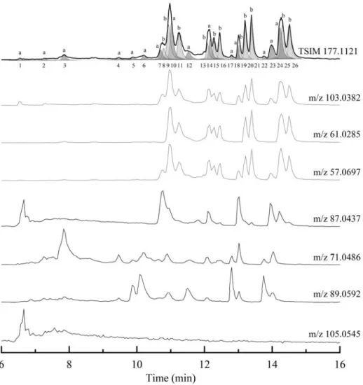 Figure 5. Typical chromatogram obtained for m/z 177.1121 (APCI +). KHPs with -OOH and -C=O on both sides  of the ether function (a) and on one side (b) are indicated