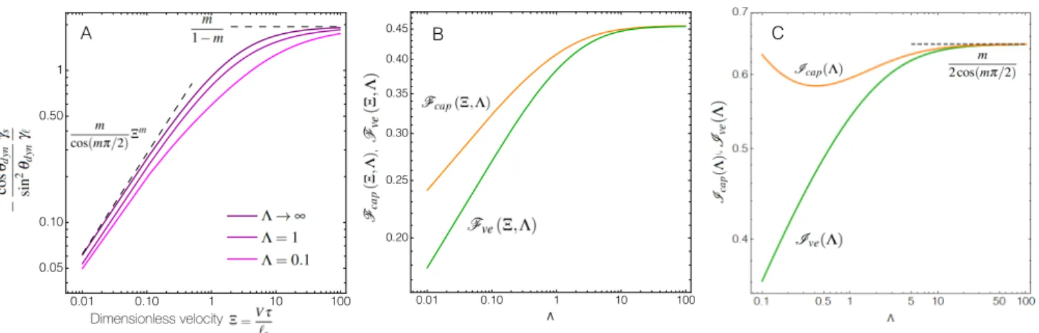 Fig. 5 Results of the nonlinear model of elastowetting. A: Plot in log-log scale of relation (50) between the dynamic contact angle θ dyn and the dimensionless velocity Ξ for different values of the dimensionless thickness Λ = H/` s showing the power-law b