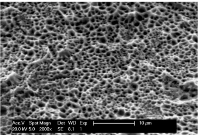 Fig. 8. SEM image of the fracture surface (after tensile test), for a sample bonded at 300 °C for 20 minutes and with a pressure of 16 MPa.