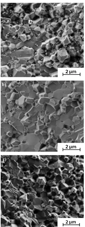 Fig. 12. SEM pictures of non-thermally pre-treated chloride based (a) 300 ppm MgO- (b) 200 ppm ZrO 2 - (c) 200 ppm La 2 O 3 -doped alumina (sintering  tem-peratures are optimised).