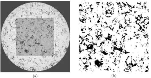 Figure 7: (a) X-ray reconstructed slice (1000x1000 voxels) and centered cubic Region Of Interest (500 × 500 voxels) use for the analysis (voxel size 1.8 µm); (b) binarization of the Region Of Interest.
