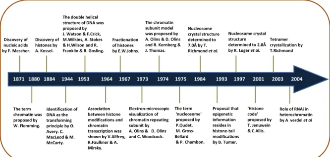 Figure 1: Diagram representing the hallmarks in the history of chromatin studies. 