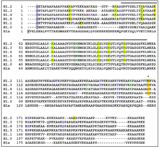 Figure 11: Posttranslational modification sites identified in human H1 isoforms. Residues: blue,  phosphorylation;  red,  methylation;  green,  formylation;  highlighted  in  yellow,  acetylation; 