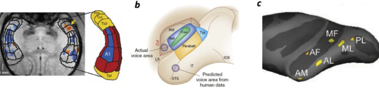 Fig. 7b) and “ trills ” (with sinusoidal frequency modulation) both apparently mediating interactions in close proximity although their explicit function remains unclear