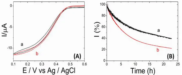 Figure 1. (A) Cyclic voltammograms recorded at 5mV/s using (a) cys-BOD or (b) wild-type BOD  modified electroplated gold wires in O2 saturated PB buffer (0.1 M, pH 7.2) at 25°C 