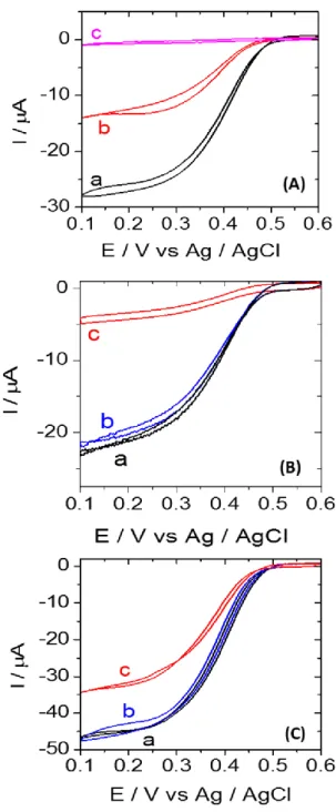 Figure 4.(A) Cyclic voltammograms with a cys-BOD-7HL-Au electrode in O2 saturated phosphate  buffer (0.1 M, pH 7.2) before (a) and after running 1 (b) and 5 (c) reduction cycles to -1.5 V vs