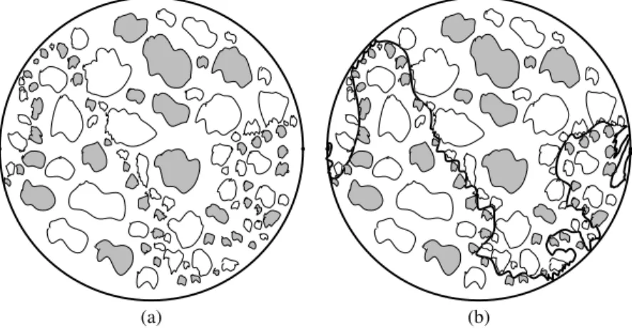 Figure 5.3. (a) A sketch of CLE 4 (shaded loops have boundary values 2 λ and the others have boundary values − 2λ for the GFF)