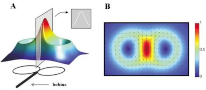 Figure 9 Représentation du champ électrique générée par la bobine de TMS en forme de 8   A