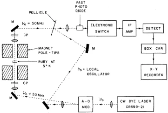 FIG. 1. Schematic of experimental apparatus used for photon-echo studies in ruby with heterodyne detection.