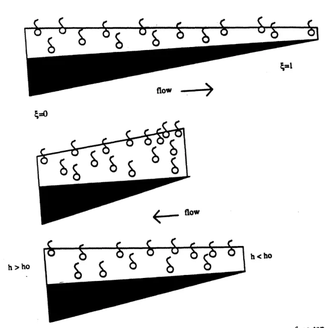 Figure  3-2:  Diagram  of flat  sheet  model  with liquid  pumping  due to  surface  tension gradients.