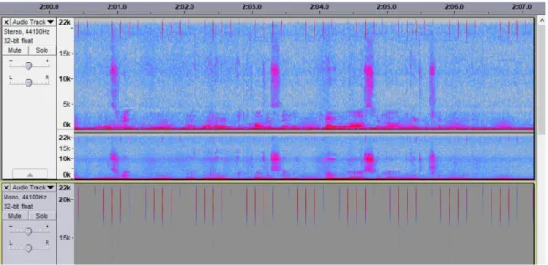 Figure 5- Audacity screenshot featuring spectrograms of the reference signal (bottom) and the recordings from mic1 and mic2  (top)