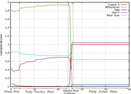 Fig. 3   Graph of variations in  concentrations of proteins and  enzymes used inside bacteria  during the chemotaxis process