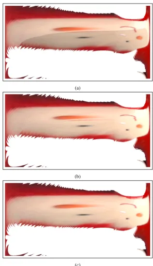 Figure 6: The correction of the exposure and the registration on a global ref- ref-erence image: (a) the refref-erence image of a branch without exposure correction showing a clear discontinuity between the texture of two images; (b) the  ref-erence image 