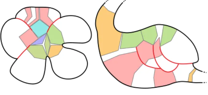 Figure 10: Adding relative depth information along a sug- sug-gestive contour, illustrated here for the case of a complex curve forming a tree