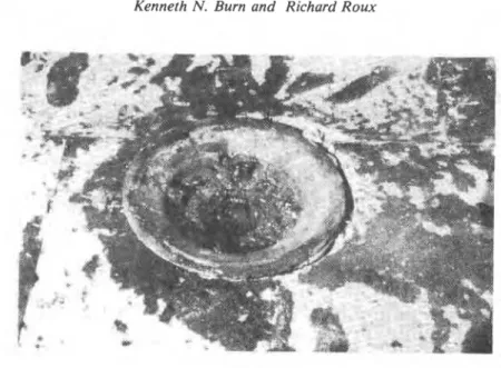 Figure  9.  Effect of membrane shrinkage on insulation at roof  drain. 