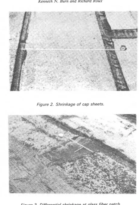 Figure  2.  Shrinkage  of cap sheets. 