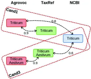 Fig. 3. Example of incompatibility between two candidates