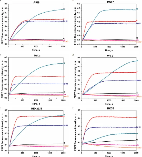 Fig. 3. Changes in the FRET signal characterizing the activity of DNA repair  enzymes in the extracts of A549 (a), MCF7 (b), HeLa (c), WT-7 (d), 