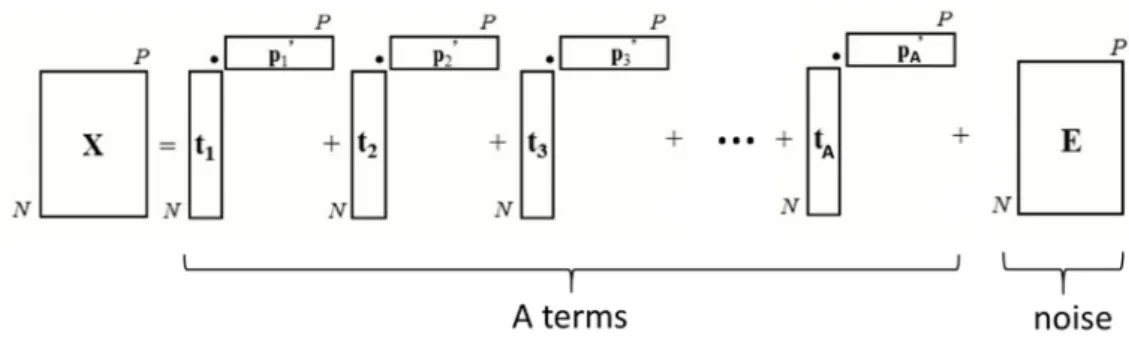 Figure 2. Writing of the matrix X of the initial data according to the PCA model. 