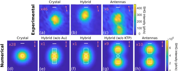 Figure 5: (a-c) Normalized experimental and (d-h) numerical SHG excitation cartographies of (a,d) a bare KTP crystal, (c,h) bare gold antennas and (b,f) hybrid Au-KTP structure.
