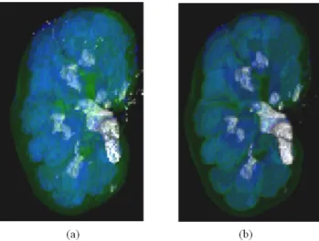 Figure 9: Rendering results with the same material properties. (a): Class decision; (b):