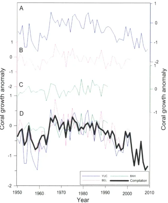 Figure  13.  Coral  records  used  to  construct  the  Western  Caribbean  growth  chronology