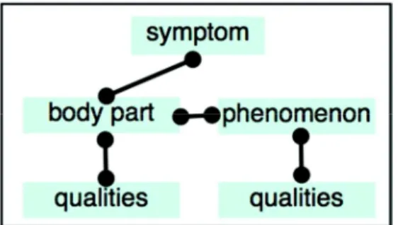 Fig. 1. Generic concepts describing health conditions. All text terms are classified along these abstract concepts