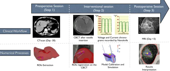 Figure 3. Our numerical workflow (bottom), which mimics the clinical workflow of Sutter et al