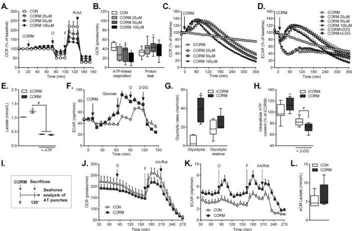 Figure  4.  CO  induces  a  metabolic  switch  in  adipocytes  in  vitro  and  in  vivo