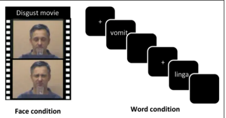 Figure 1. Processing emotional content in faces versus words. People viewed movie clips of actors who expressed either disgusted or neutral emotions (face condition), and they performed a lexical decision task on words with disgusting versus neutral conten