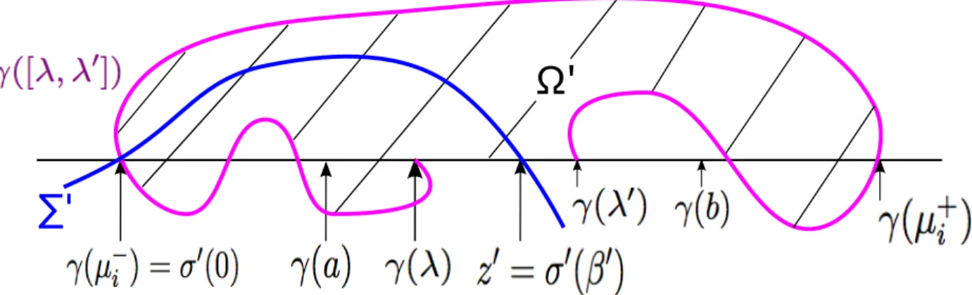 Figure 8: The domain Ω 0 and the curves γ([λ, λ 0 ]) and Σ 0