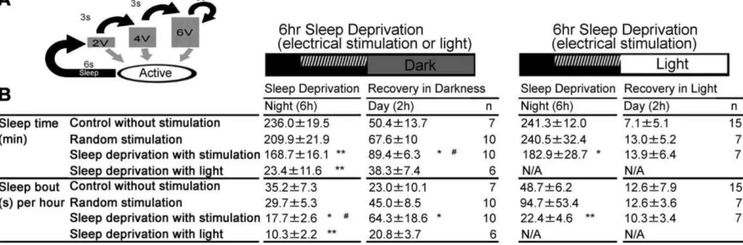 Figure 2. Homeostatic Regulation of Zebrafish Sleep
