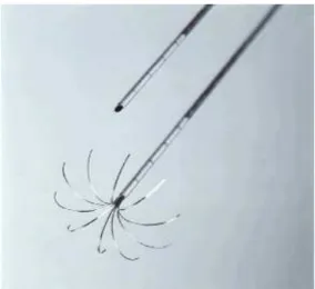 Figure 1. Radiofrequency needle electrode. The gauge needle is introduced into the tumor and  then the retractable tines are deployed