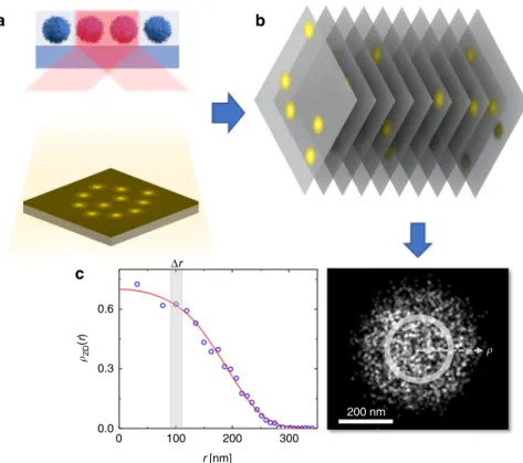 Fig. 3 Superresolution ﬂ uorescent microscopy (SRFM). The most widely used method for soft-material imaging is single-molecule localization microscopy via direct STochastic Optical Reconstruction Microscopy (dSTORM) 48,57,58 