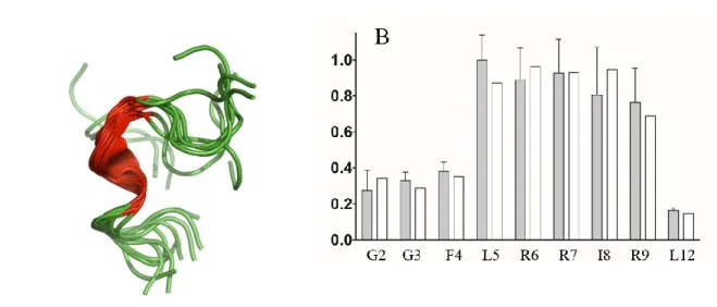 Figure 1: A) receptor-bound conformation of dynorphin 1-13: a helical conformation is formed  between F4 and R9;  B) Order parameter profile of dynorphin N-H bonds in the receptor-bound  state