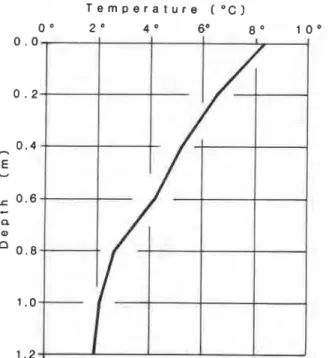 FIGURE  15.  Temperature  profile  in  the  interstices  between  boulders on the surface of the rock glacier shown in Figure 14