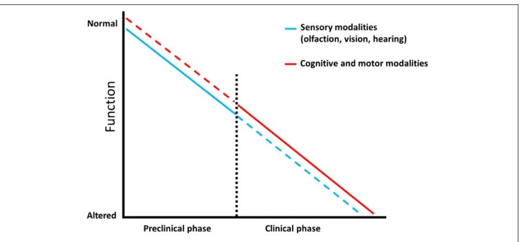 FIGURE 1 | Predictive factors characterizing dementia. Schematic representation showing that sensory modalities are affected from the prodromal phase of Alzheimer’s disease and represent an early prognostic tool (blue line) which is less efficient in the l